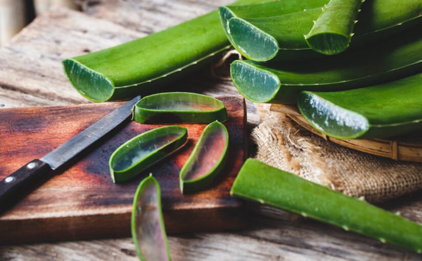 The usage of Aloe Vera has existed for centuries!